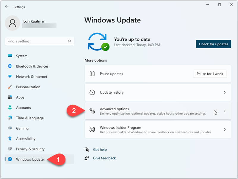 V nastaveniach systému Windows 11 prejdite na položku Windows Update> Rozšírené možnosti