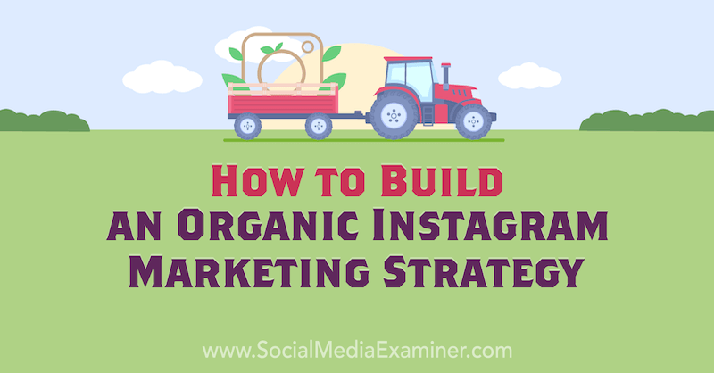 Ako vybudovať organickú marketingovú stratégiu na Instagrame od Corinna Keefe na prehliadači sociálnych médií.