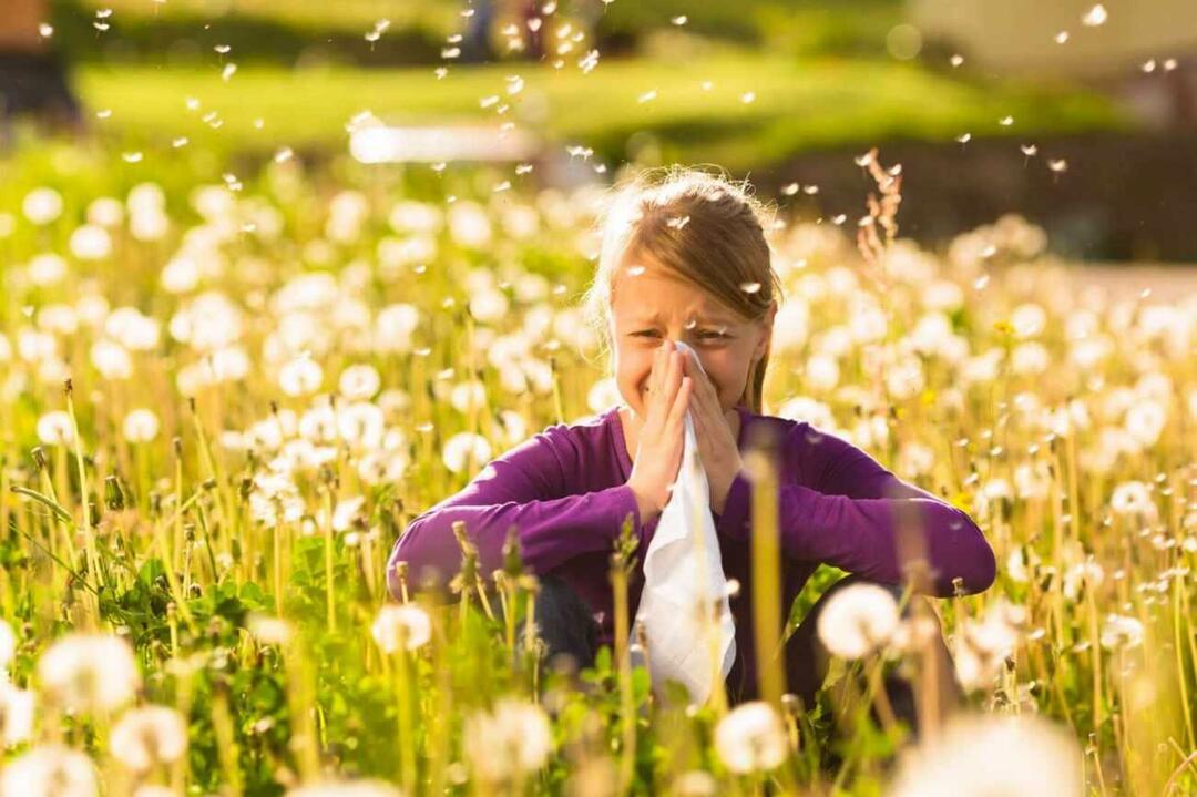 Čo treba zvážiť na ochranu detí pred sezónnymi alergiami