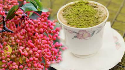 Aké sú výhody semena Menengiç (Çitlembik)? Čo robí Menengiç káva?