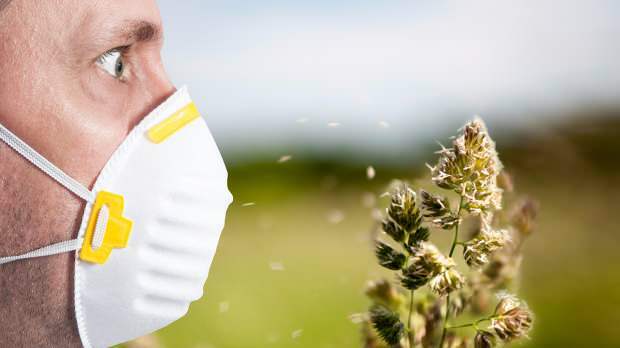 jarnú alergiu spôsobuje peľ, domáce zvieratá, zvýšená teplota a prach