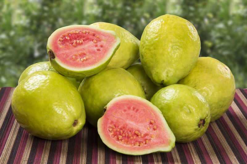 ovocie guavan prechádza ako jahoda 