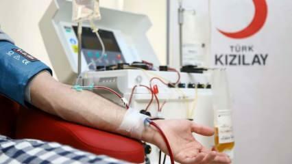 Kde a ako darovať krv? Aké sú podmienky darovania krvi
