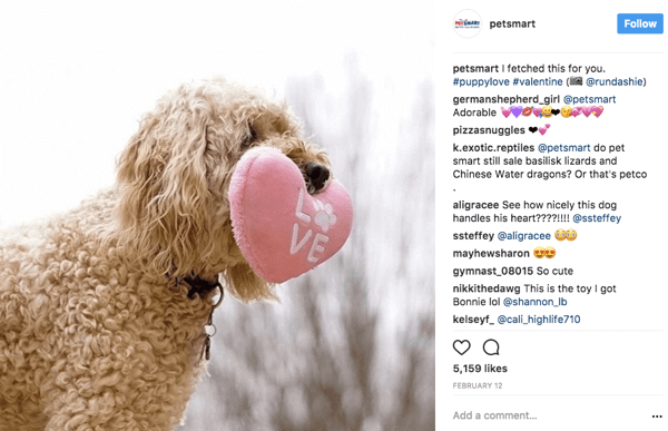 Keď PetSmart opätovne zdieľa fotografie používateľov na Instagrame, v titulku udelí fotografický kredit pôvodnému plagátu.