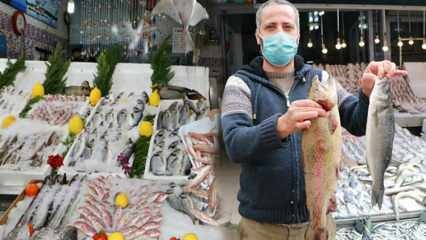 Ako zistiť, či je ryba falošná? Triky, vďaka ktorým vyzerajú ryby ťažké a svetlé