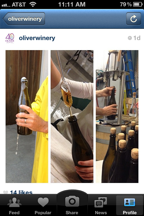 vinárstvo oliver