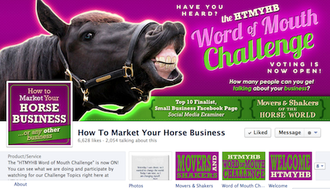 ako uviesť na trh svoje podnikanie s koňmi