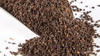 Aké sú výhody semien Uzerlíka? Ako prerobiť semená čaju Üzerlik?