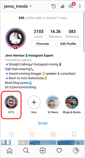 Ikona IGTV v profile Instagram