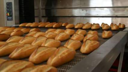 Odborníci varovali: Chlieb dajte do pece s 90 stupňami na 10 minút
