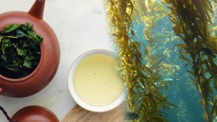 Aké sú výhody machu? Ako pripraviť čaj z morských rias a na čo je dobrý?