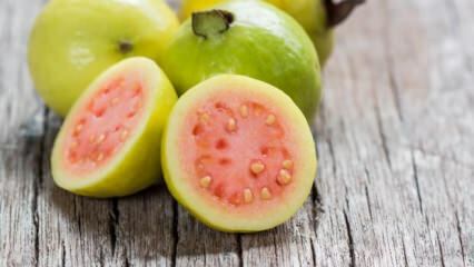 Čo je to ovocie Guava? Aké sú výhody?