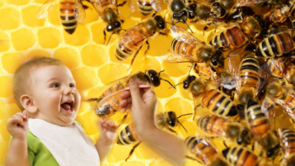 Ako by sa mal med podávať deťom? Čo by sa nemalo podávať skôr ako 1 rok