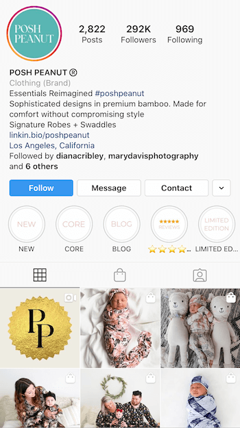 príklad produktu Instagram bio optimalizovaného pre firmy