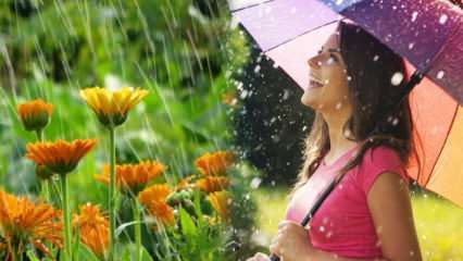 Lieči sa aprílový dážď? Aké modlitby sa majú čítať do dažďovej vody? Výhody aprílového dažďa