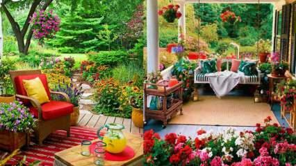 Kvety, ktoré na jeseň využijete vo svojej záhrade a balkónoch!