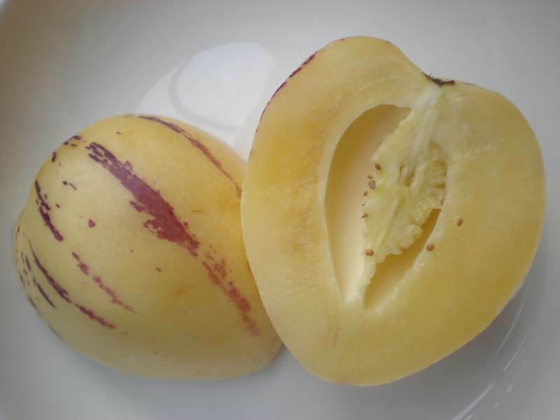 Pepino ovocie je nakrájané na plátky ako melón