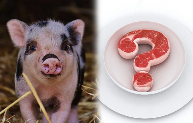 Je zakázané jesť bravčové mäso?