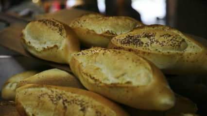 Ako sa hodnotí zastaraný chlieb? Recepty vyrobené so zatuchnutým chlebom