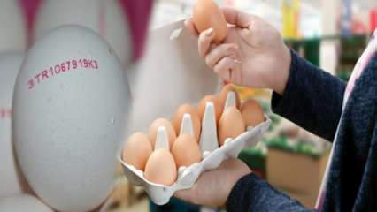 Ako sa rozumie ekologické vajce? Čo znamenajú kódy vajec?
