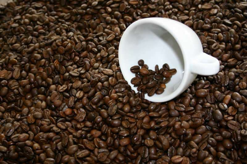 Kde kúpiť kvalitné kávové zrná