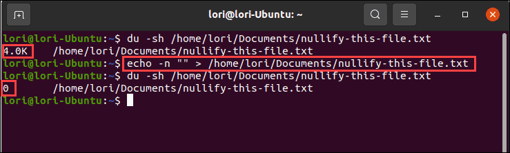 Použitie príkazu echo s nulovým výstupom v systéme Linux
