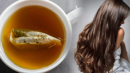 Aké sú výhody zeleného čaju pre vlasy? Recept na pleťovú masku zo zeleného čaju