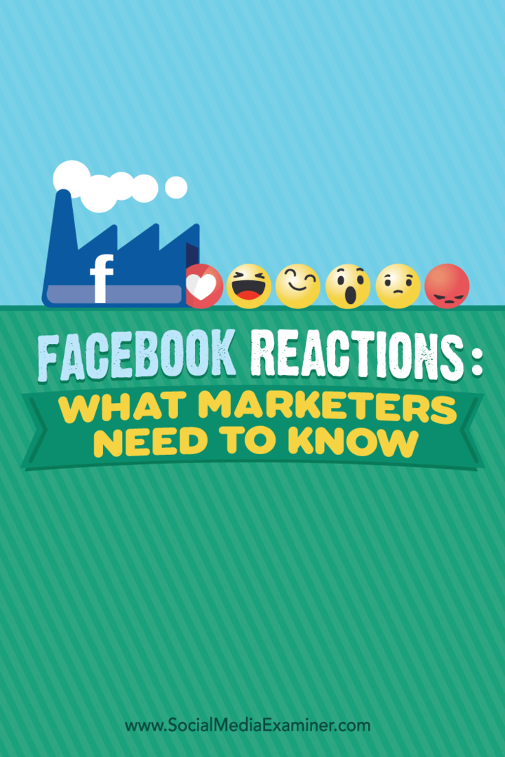 Reakcie Facebooku: Čo musia marketingoví pracovníci vedieť: Vyšetrovateľ v sociálnych sieťach