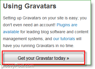 Snímka obrazovky Gravatar - získajte vlastný gravatar