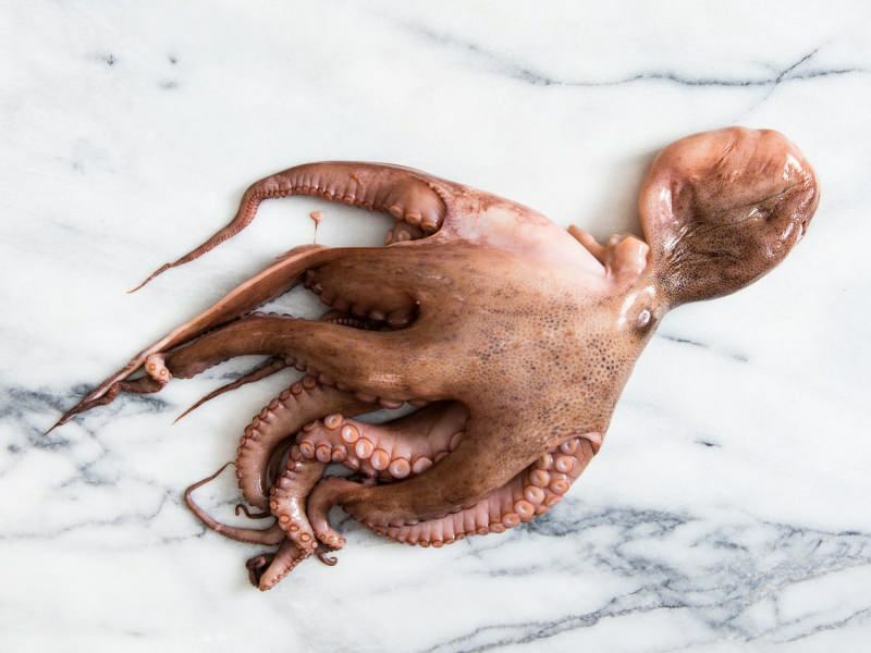 Ako čistiť a variť chobotnicu doma? Najjednoduchšia chobotnica
