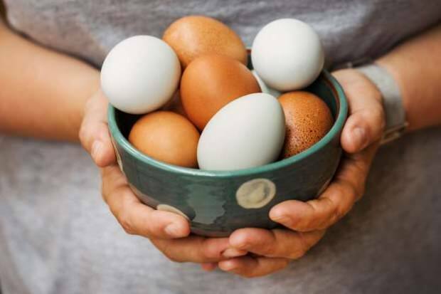 Ako sa robí analýza organických vajec?