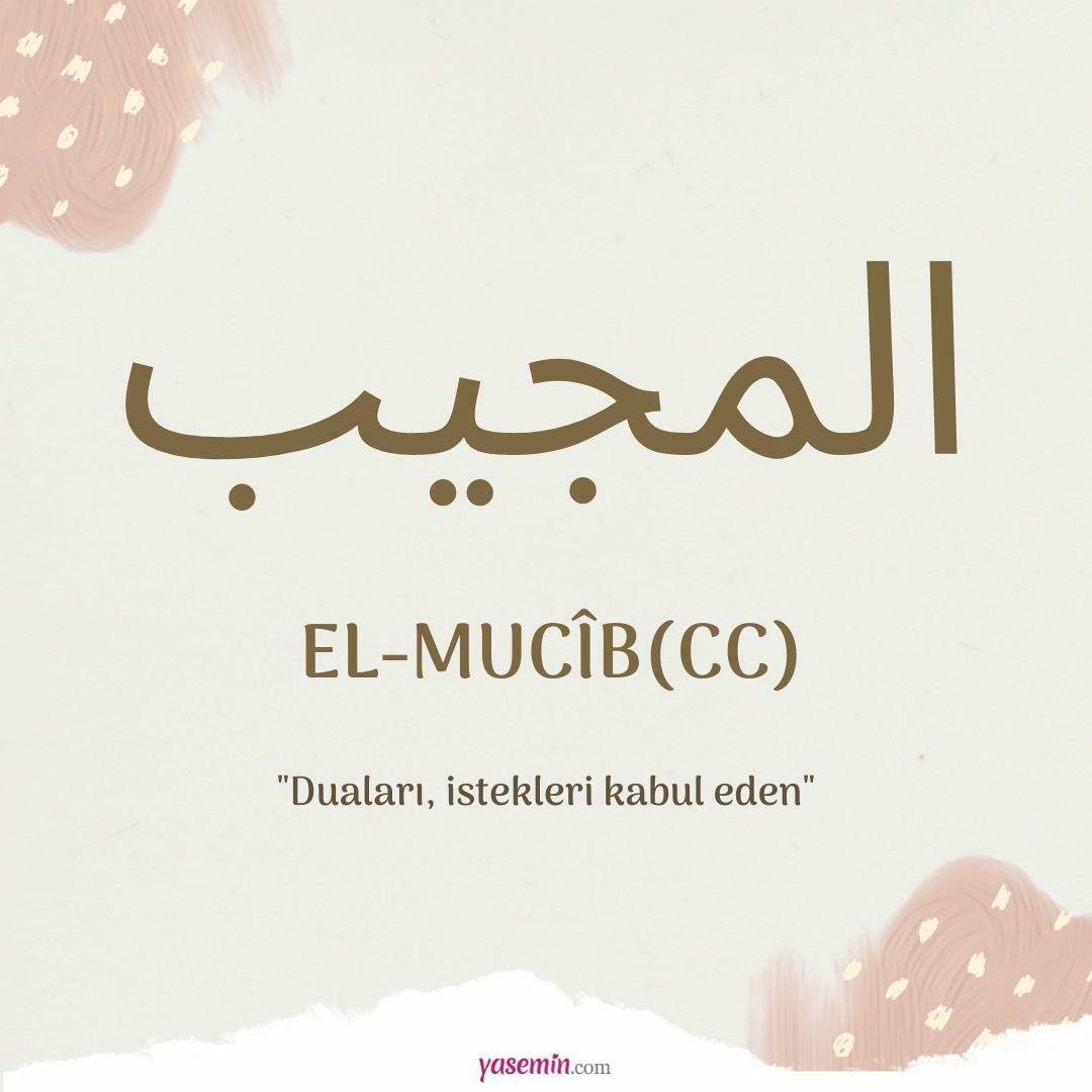 Čo znamená al-Mujib (cc)?