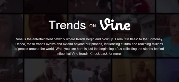 trendy na viniči