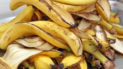 Aké sú výhody banánov? Koľko druhov banánov existuje? Neznáme použitia banánovej šupky! 