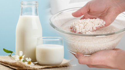 Ako pripraviť ryžové mlieko spaľujúce tuky? Metóda chudnutia s ryžovým mliekom