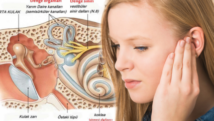 Čo spôsobuje posun ušného kryštálu? Známky hry kryštálu ucha
