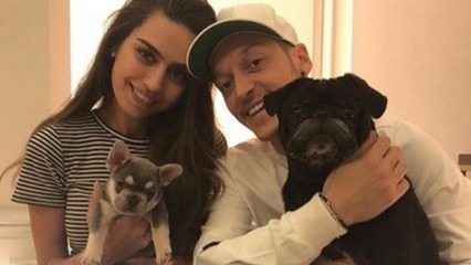 Mesut Özil oslavuje narodeniny svojej snúbenice Amíny Gülşovej