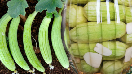 Ako pripraviť nakladané uhorky doma? Triky výroby nakladaných uhoriek