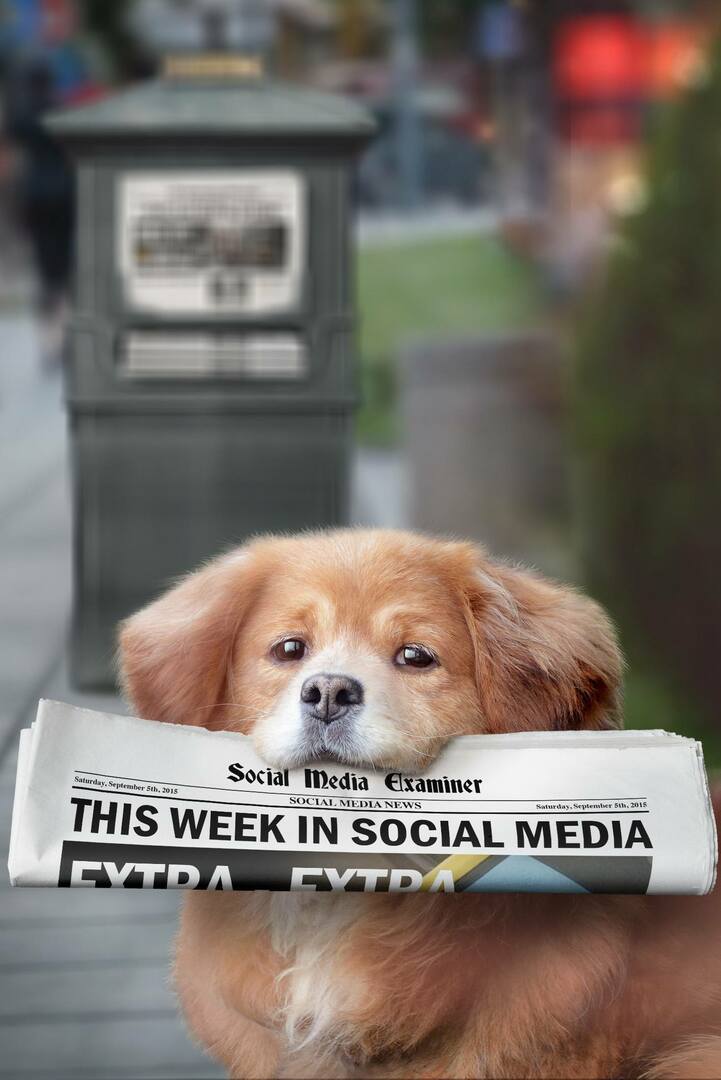 Meerkat predstavuje živé hashtagy: Tento týždeň v sociálnych sieťach: Examiner v sociálnych sieťach