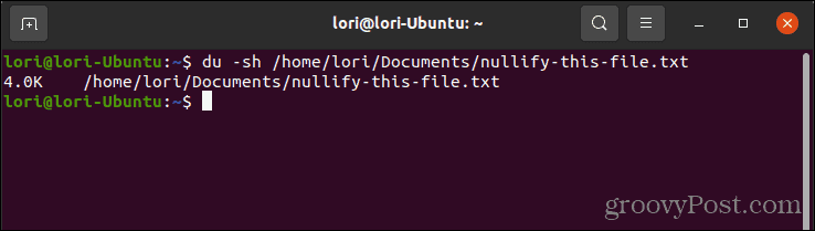 Použitie príkazu du na kontrolu veľkosti súboru v systéme Linux