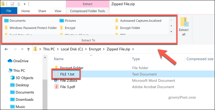 Extrahovanie samostatného súboru zo súboru Zip v Prieskumníkovi súborov systému Windows