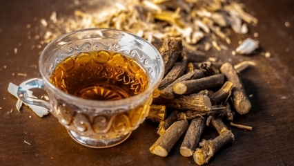 Aké sú výhody sladkého drievka? Ako pripraviť koreňový čaj zo sladkého drievka? Na čo je sladké drievko?