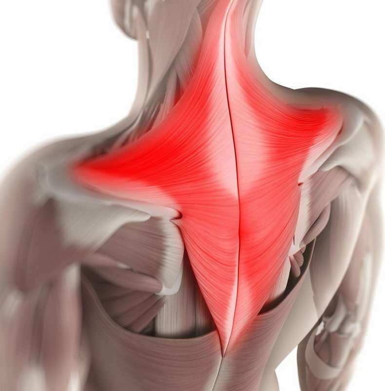 Cez deň môžu byť svaly v oblasti krku počas dňa nevedome vytiahnuté v nesprávnych polohách sedenia. 