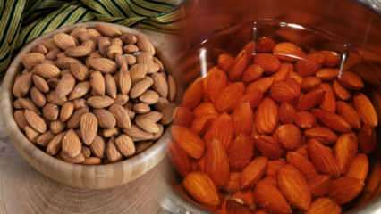 Koľko kalórií sú mandle? Surové mandle alebo pražené mandle oslabujú? Chudnutie jedlom mandlí