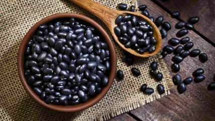 Aké sú výhody čiernych fazúľ? Čierne fazule podporujú rast svalov! 
