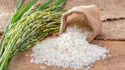 Čo je ryža Baldo? Aké sú znaky ryže Baldo? 2020 baldo ryže ceny