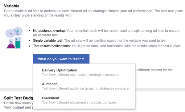 Vyberte premennú, ktorú chcete otestovať pomocou svojej reklamy na Facebooku.
