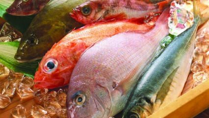 Aké sú výhody rýb? Ako konzumovať najzdravšie ryby?