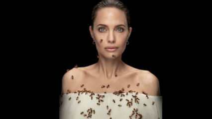 Angelina Jolie v objektíve so včelami pre včely!