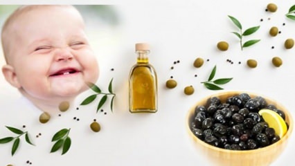 Príprava olív s malým obsahom soli pre batoľatá! V ktorom mesiaci by sa mali dať olivy deťom?